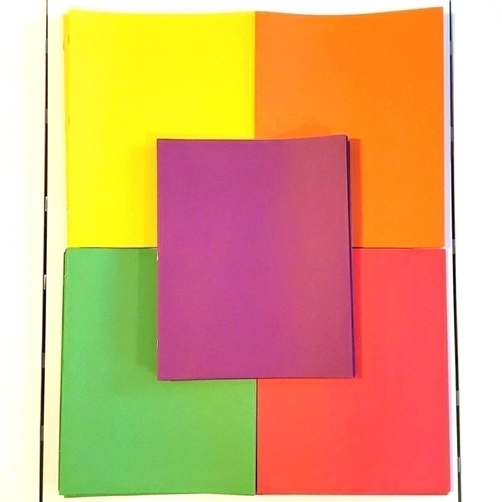 Staples two pocket folders